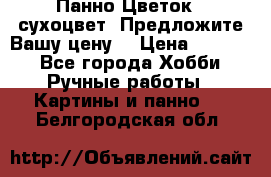 Панно Цветок - сухоцвет. Предложите Вашу цену! › Цена ­ 4 000 - Все города Хобби. Ручные работы » Картины и панно   . Белгородская обл.